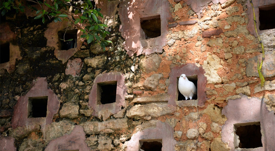 How to Avoid the Professional Pigeonhole in Sales and Marketing