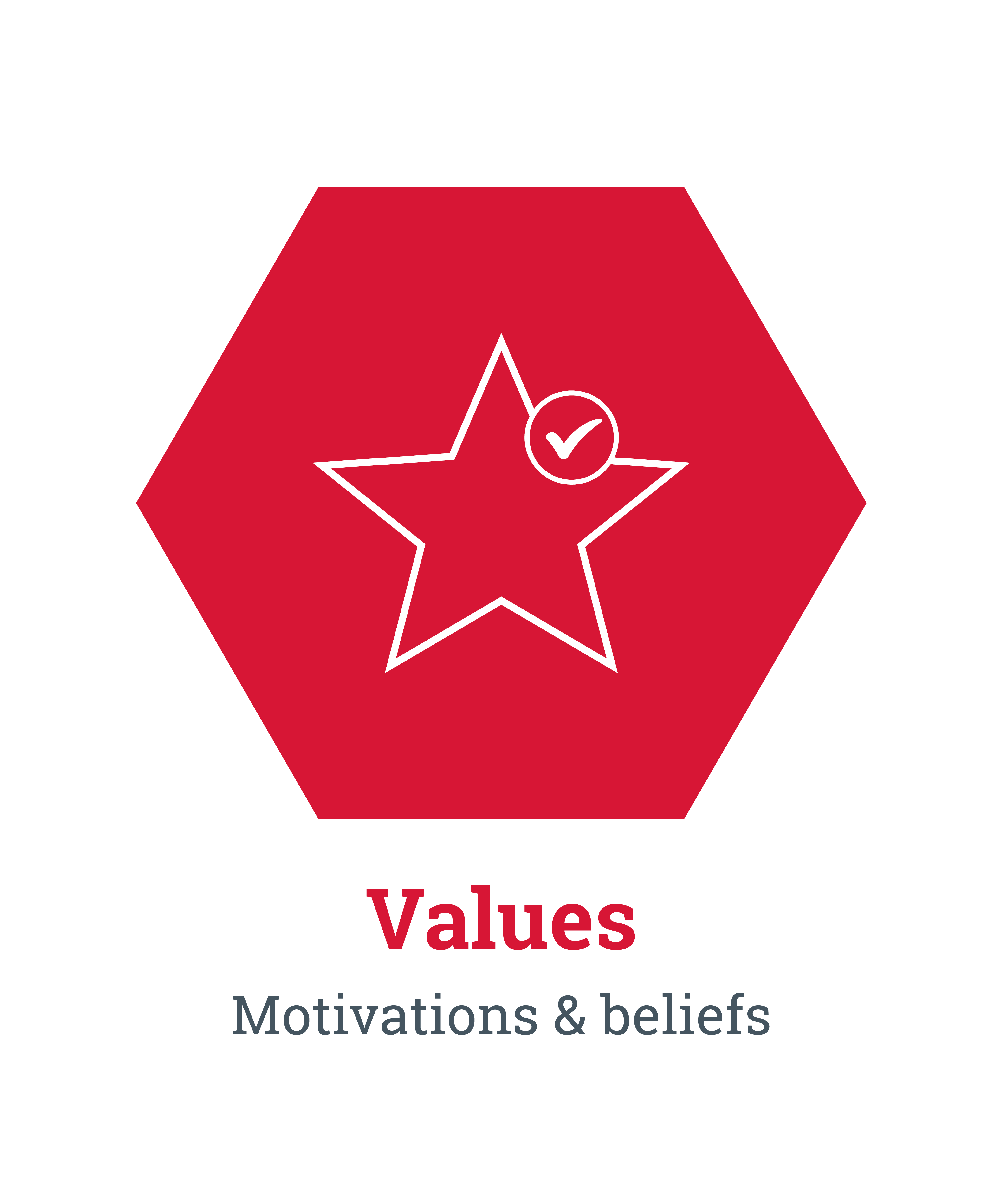 Values. Motivations & beliefs